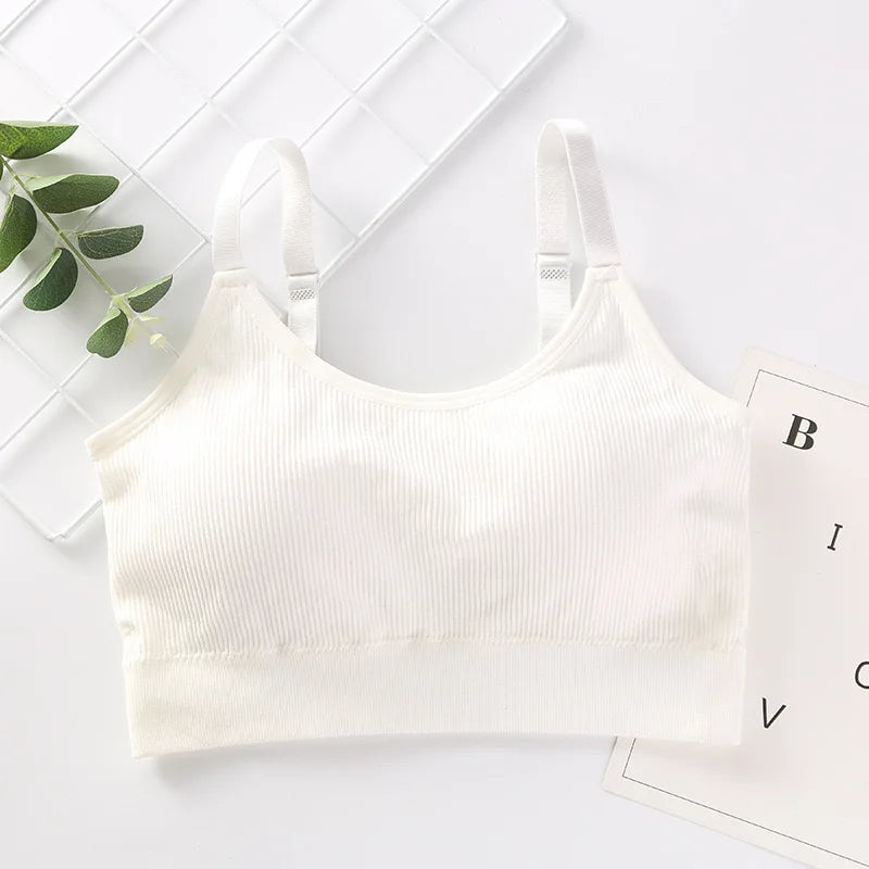 Sexy Underwear Women Gather No Steel Ring Lingerie Bra Tube Top Wrapped Chest Beauty Back Actival Cotton Thin Section Tube Top